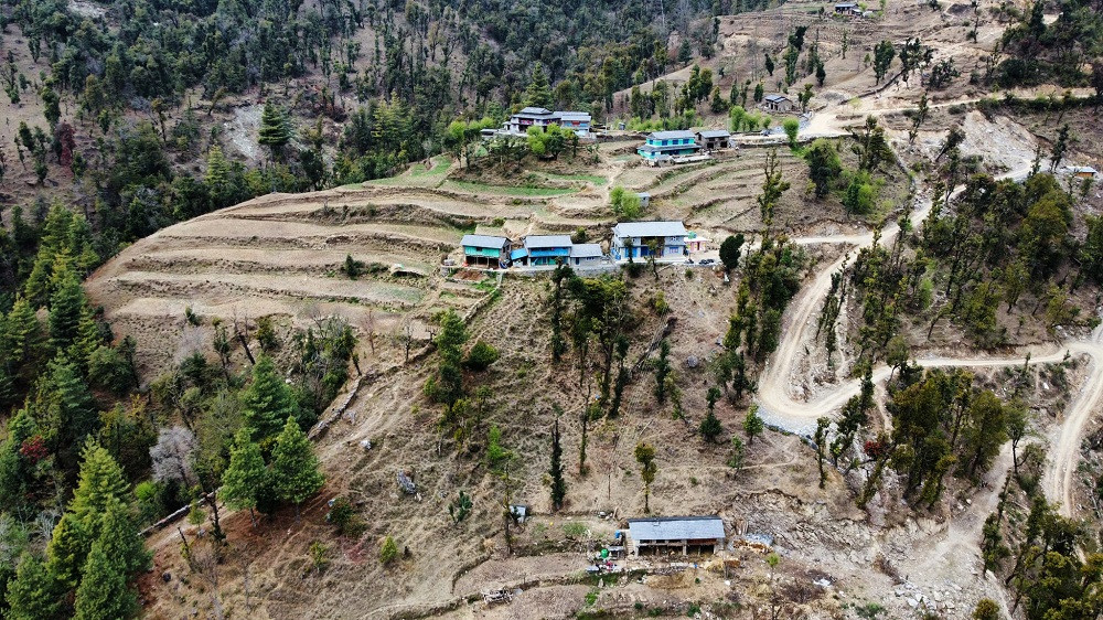 सडकले फेरियो जनजीवन