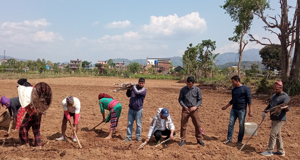 उखुखेती प्रवर्द्धनमा जुटे रामपुरका युवा