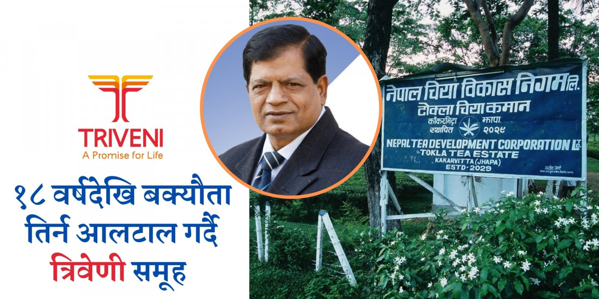 शक्तिको आडमा वर्षौंदेखि सरकारी बक्यौता नतिर्ने त्रिवेणी ग्रुपका संघई महासंघको नेतृत्व ताक्दै