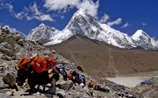 परिणाममुखी पर्यटनका लागि आठ पाइला
