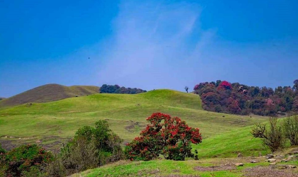 भोजपुरमा ‘ग्रेटर मुन्दुम’ पदमार्गको काम थालियो