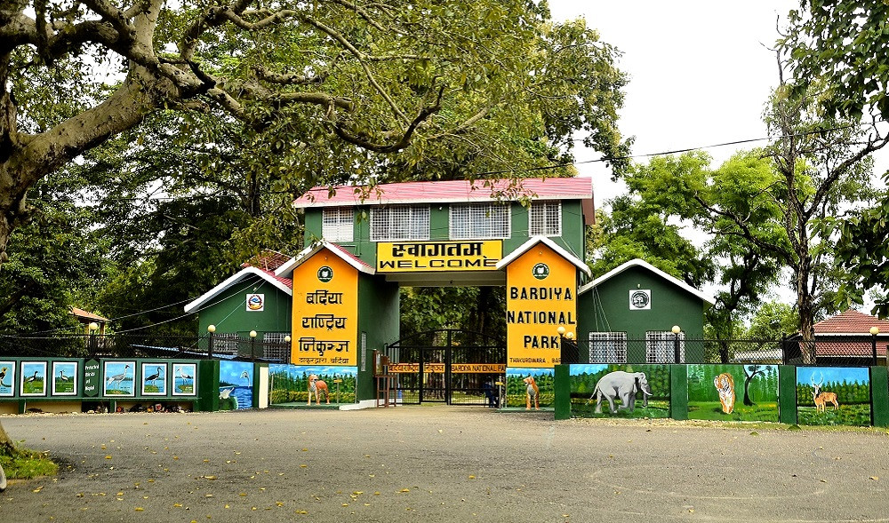 बर्दिया राष्ट्रिय निकुञ्ज आउने पर्यटक बढे