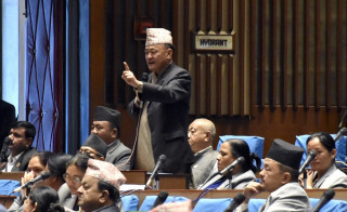 शरणार्थी प्रकरणमा संलग्नलाई कारबाही गर्न सांसदको माग