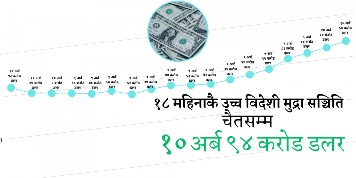 बढ्दैछ विदेशी मुद्राको सञ्चिति, ९ महिनाको आयात धान्ने क्षमता