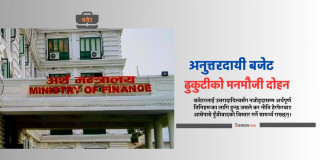 स्वेच्छाचारी सरकार, अनुत्तरदायी बजेट प्रणाली