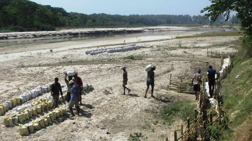 तटबन्ध निर्माणले बाँझो जमिन हराभरा, उखु खेतीबाट मनग्य आम्दानी लिँदै किसान