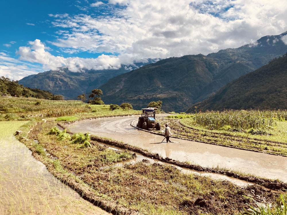 ट्याक्टरले खेत जोत्दै