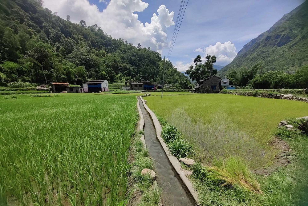 पहाड छिचोलेर पानी आउँदा दंग छन् रोमनटारका बासिन्दा