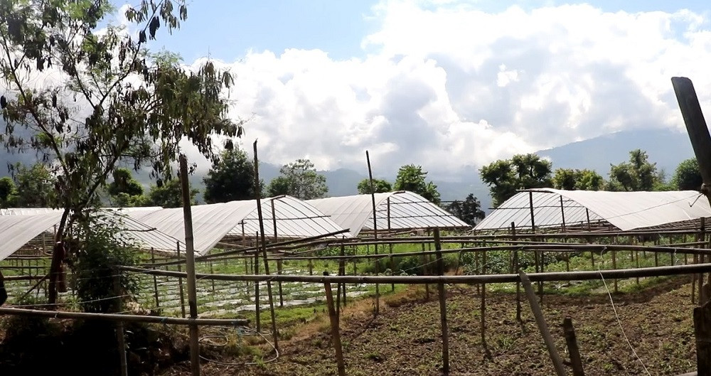 विदेशबाट फर्किएर कृषिमा लगानी : ‘योजनाबद्ध व्यवसाय गर्न सके स्वदेशमै राम्रो आम्दानी गर्न सकिन्छ’