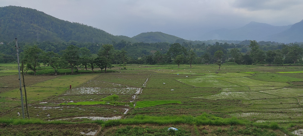 तनहुँमा भूमिहीन सुकुम्बासीलाई जग्गा वितरण गरिने