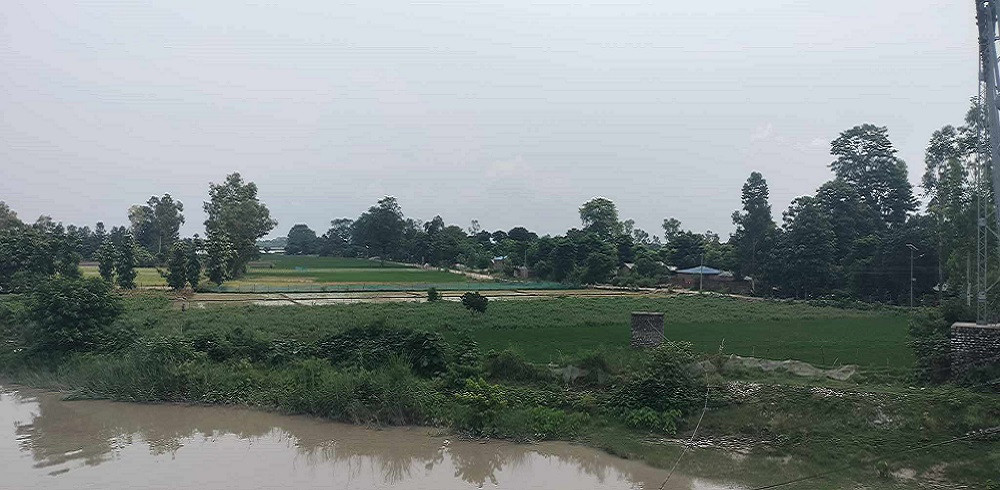 वर्षा हुँदा डुबानको त्रास र नहुँदा कृषि बाली प्रभावित हुने चिन्ता