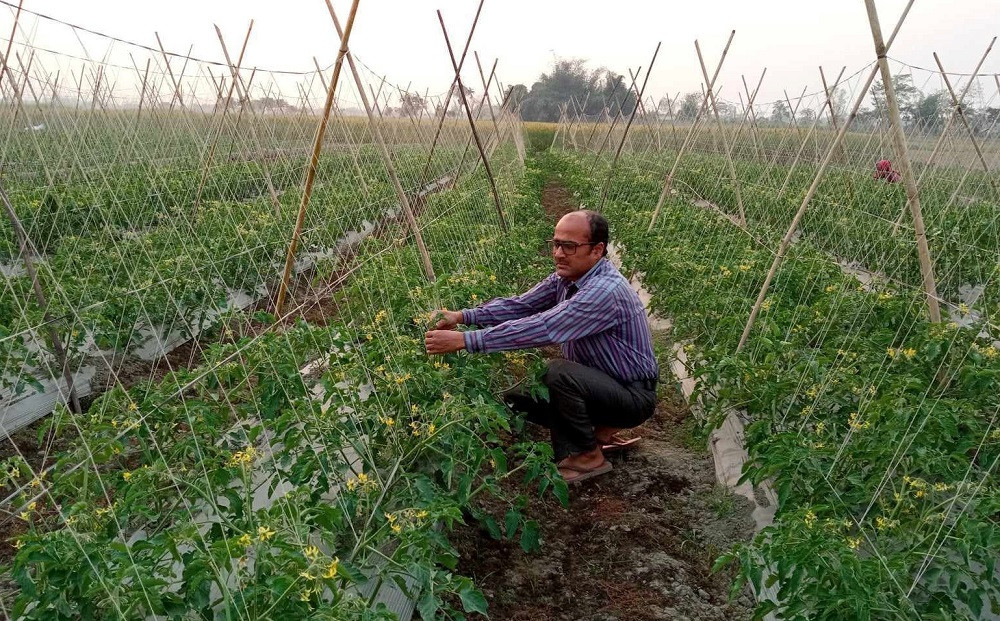 प्रांगारिक खेती अभियानमा भरतपुरका छवि न्यौपाने, अन्यको तुलनामा २० प्रतिशत बढी मूल्य