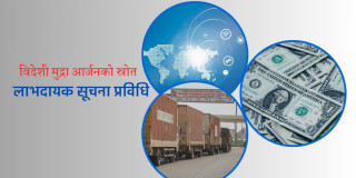 दुई दशक समय र अर्बौं लगानी गरेको वस्तु निर्यातभन्दा सूचना प्रविधि लाभदायक 
