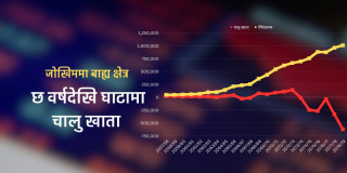संकटोन्मुख अर्थतन्त्रको बाह्य क्षेत्र, सन्तुलनको सेतु बन्न सक्छ आईटी