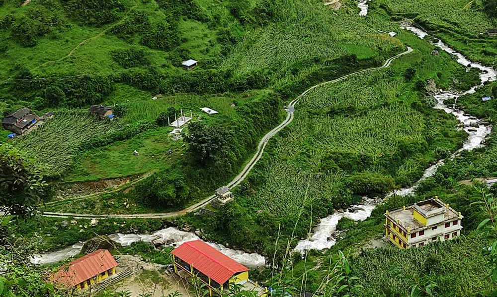 हावाहुरीले मकै बाली नष्ट, ५० लाखभन्दा बढीको क्षति 