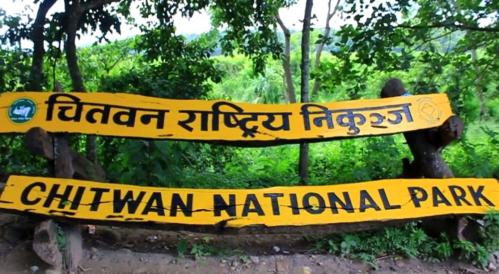 चितवन राष्ट्रिय निकुञ्ज आउने पर्यटक घटे