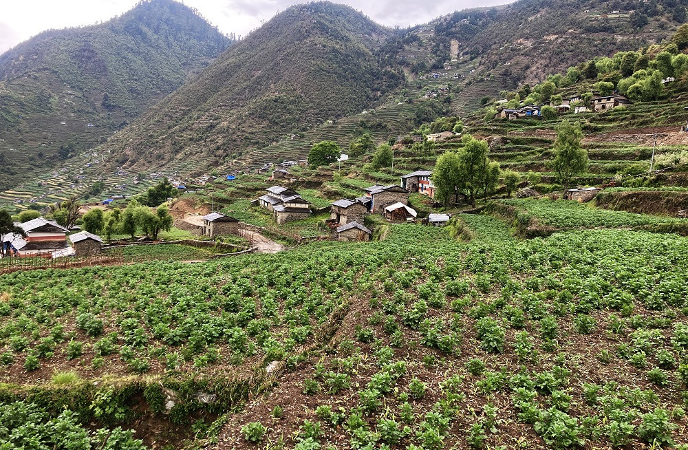 आलुसँग अन्न साटेर वर्षभरिको खर्च चलाउँथे पहिले, चिप्स बनाएर विदेश निर्यात गर्छन् अहिले