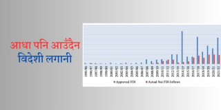 प्रतिबद्धताको आधा पनि आउँदैन नेपालमा विदेशी लगानी, साना तथा मझौलामै सीमित 