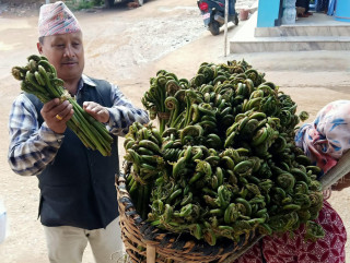 बागलुङेको भान्सामा म्याग्दीको लेकाली निउरो