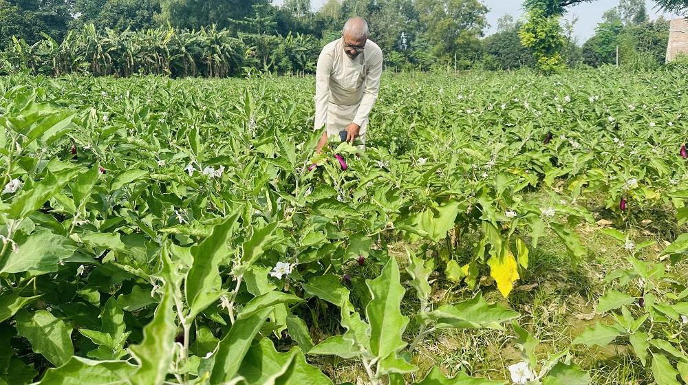 पत्रकार अर्जुन थपलियाले बदलेको छवि