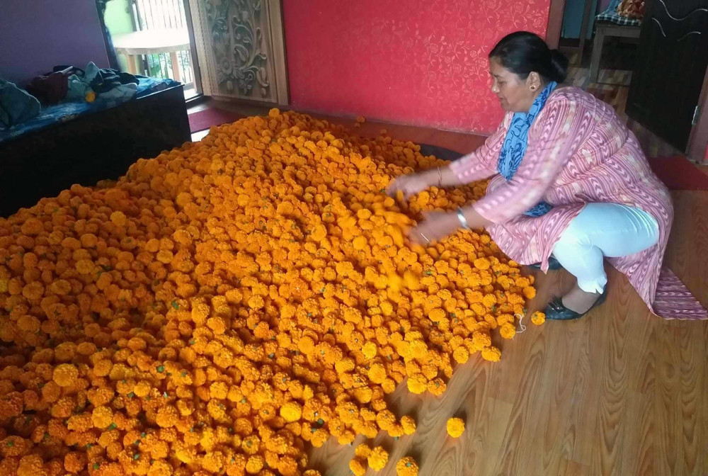 भक्तपुरका फूल युरोप अमेरिकासम्म, एक रोपनी फूलखेतीबाट दुई लाखसम्म आम्दानी