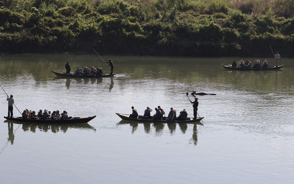 चितवन राष्ट्रिय निकुञ्जमा बढ्यो पर्यटकको आगमन, गत आवमा तीन लाखभन्दा बढीले गरे भ्रमण