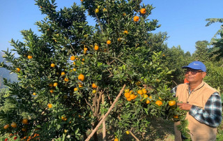 राजनीति त्यागेर विदेश, फर्किएर कृषिमा जमिरहेका गुप्तप्रसाद