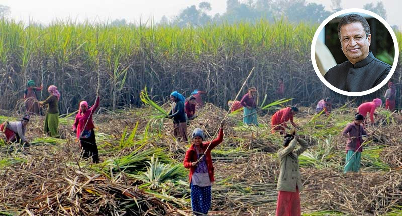 उखुको समर्थन मूल्य छिटो तोक्न सरकारसँग कांग्रेस सांसद चौधरीको माग, उखु किसानका समस्याप्रति गम्भीर बन्न आग्रह