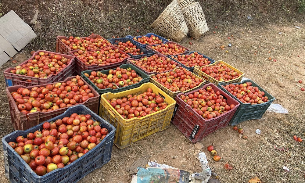यस्तो छ आजको तरकारी र फलफूलको थोक मूल्य, आलु ३३, गोलभेँडा ५० रुपैयाँ किलो