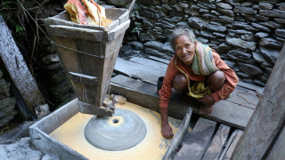 पानीघट्टमा मकै पिस्दै...