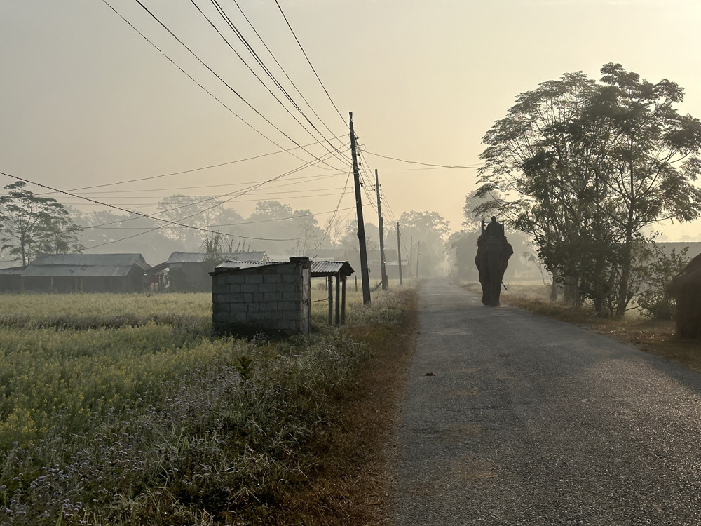 सुन्दर पर्यटकीय गन्तव्य सौराहा