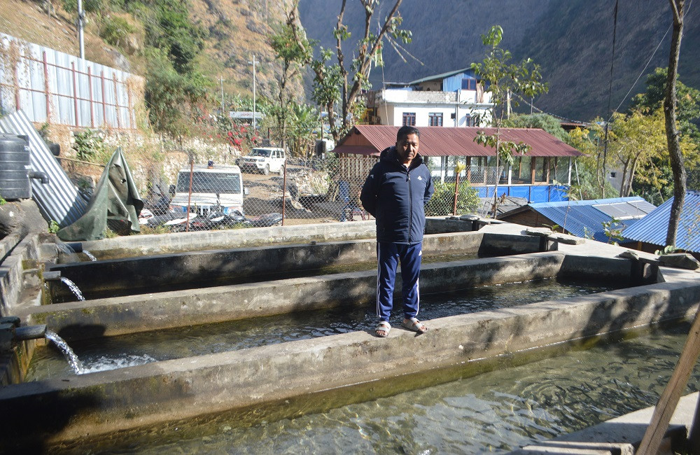 राजनीतिसँगै व्यावसायिक माछापालनमा सक्रिय गाउँपालिका अध्यक्ष