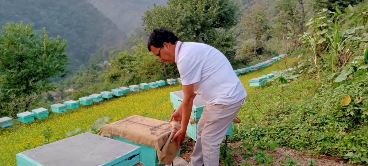 मौरी पालेर वार्षिक ८ लाख कमाउँदै छन् ४८ वर्षीय माधव