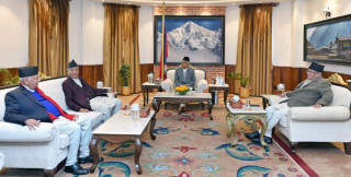 त्रिविको उपकुलपति नियुक्तिमा राजनीतिक भागबन्डा नगर्न शीर्ष नेतालाई राष्ट्रपतिको आग्रह