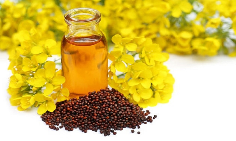 देशैभरि पुग्छ चितवनको तोरीको तेल, वार्षिक डेढ करोडको बिक्री
