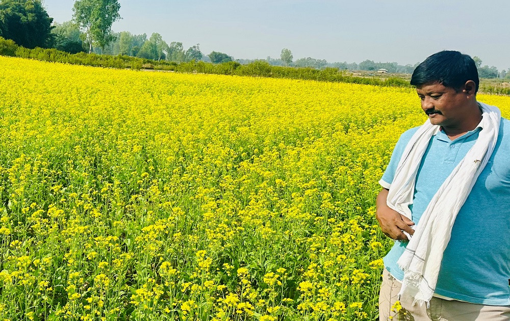 राजनीतिसँगै कृषिकर्ममा पूर्वनगर प्रमुख चौधरी, एकैयाममा गर्छन् १० लाखसम्म आम्दानी