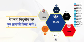 ब्रान्डअनुसार ईभीको बजार हिस्सा : टाटा र बीवाईडी आमनेसामने, पछ्याउँदै एमजी