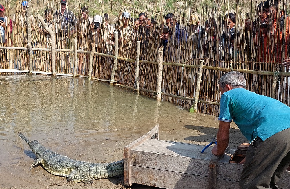 'स्थायीका लागि पटकपटक पहल भयो तर कार्यान्वयन भएन, जस्तो आएँ त्यस्तै जाने भइयो'