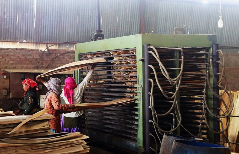 नेपाली प्लाइउड भारत निर्यातको अवरोध हट्यो, उद्योगीमा उत्साह