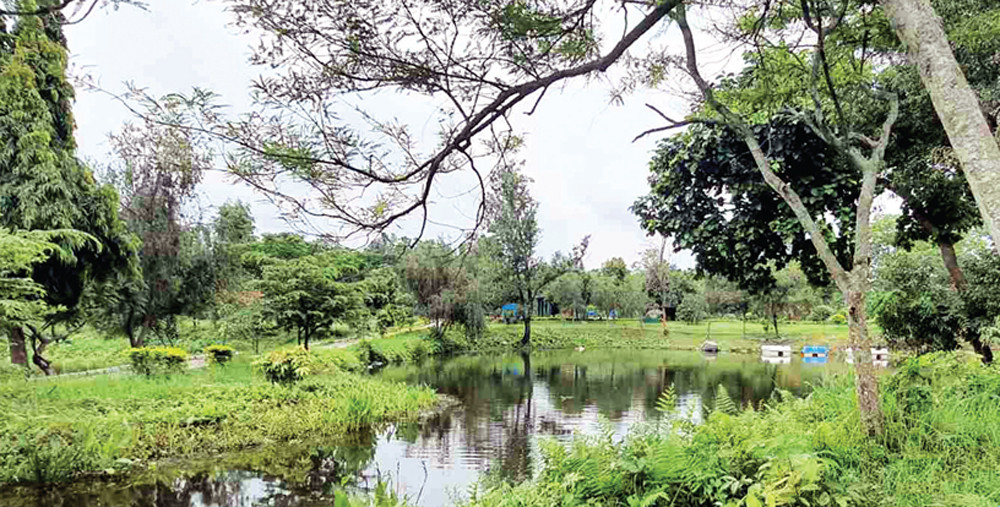 इटहरीमा 'ताल-तलैया बहुउद्देश्यीय पर्यटन परियोजना' विकास गर्न १३ अर्ब ९० करोड लगानी खोजिँदै