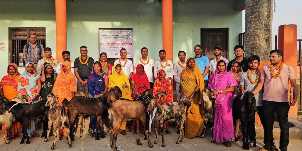 महिलालाई आत्मनिर्भर बनाउन साना किसान परियोजना, बाख्रापालक समूहलाई बीउ बोका सहयोग