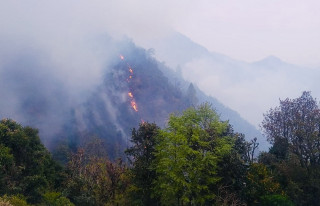 गण्डकीका ४६७ स्थानमा डढेलो, आठ हजार २७७ हेक्टर वन क्षेत्र प्रभावित