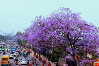 वर्षापछि घट्दै वायु प्रदूषण