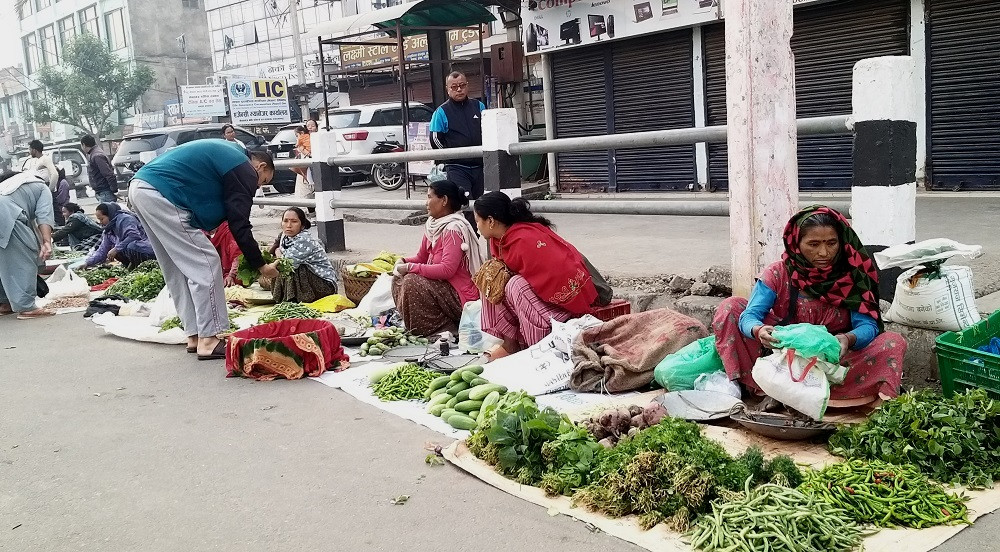 अर्गानिक तरकारीको माग बढेपछि उत्पादन र बिक्रीमा सक्रिय थारु महिला, मासिक २० हजारसम्म आम्दानी