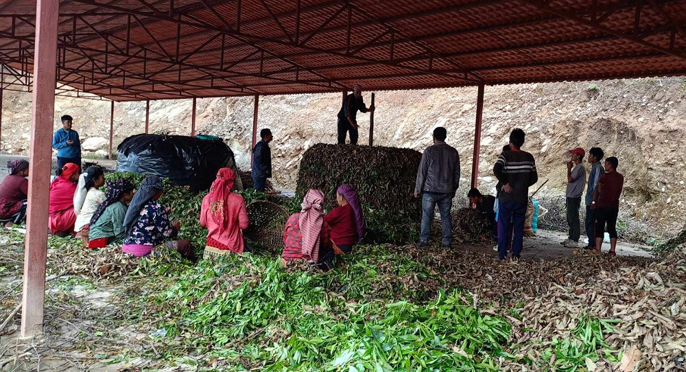 बागलुङमा उद्योगग्राममार्फत प्रांगारिक मल उत्पादन