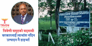 चिया विकास निगमको उत्पादन निजी उद्योगबाट बेचेर सरकारमाथि छलछाम गर्दै त्रिवेणी ग्रुप