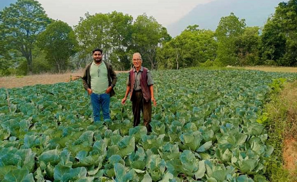 कृषि र व्यवसायमार्फत सबल बन्दै ग्रामीण अर्थतन्त्र