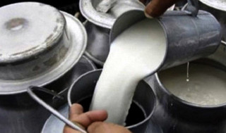 तत्काल किसानको बक्यौता भुक्तानी दिन दुग्ध उत्पादक सहकारीको आग्रह