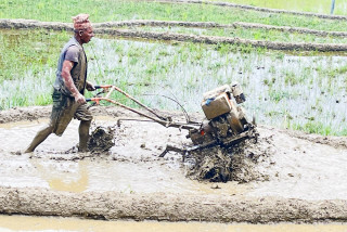 कृषिमा यान्त्रिकीकरणले कञ्चनपुरमा व्यावसायिक खेती गर्ने किसानको संख्या बढ्दै