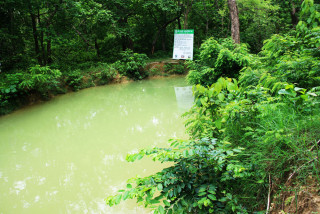 वन्यजन्तुका लागि सामूदायिक वनमा पोखरी
